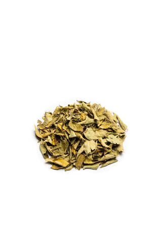 Curry Leaves