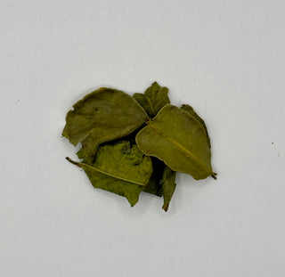 Makrut Lime Leaves