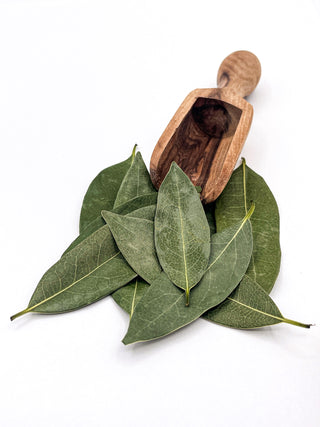 California Bay Leaves