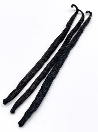 Vanilla Beans, Madagascar